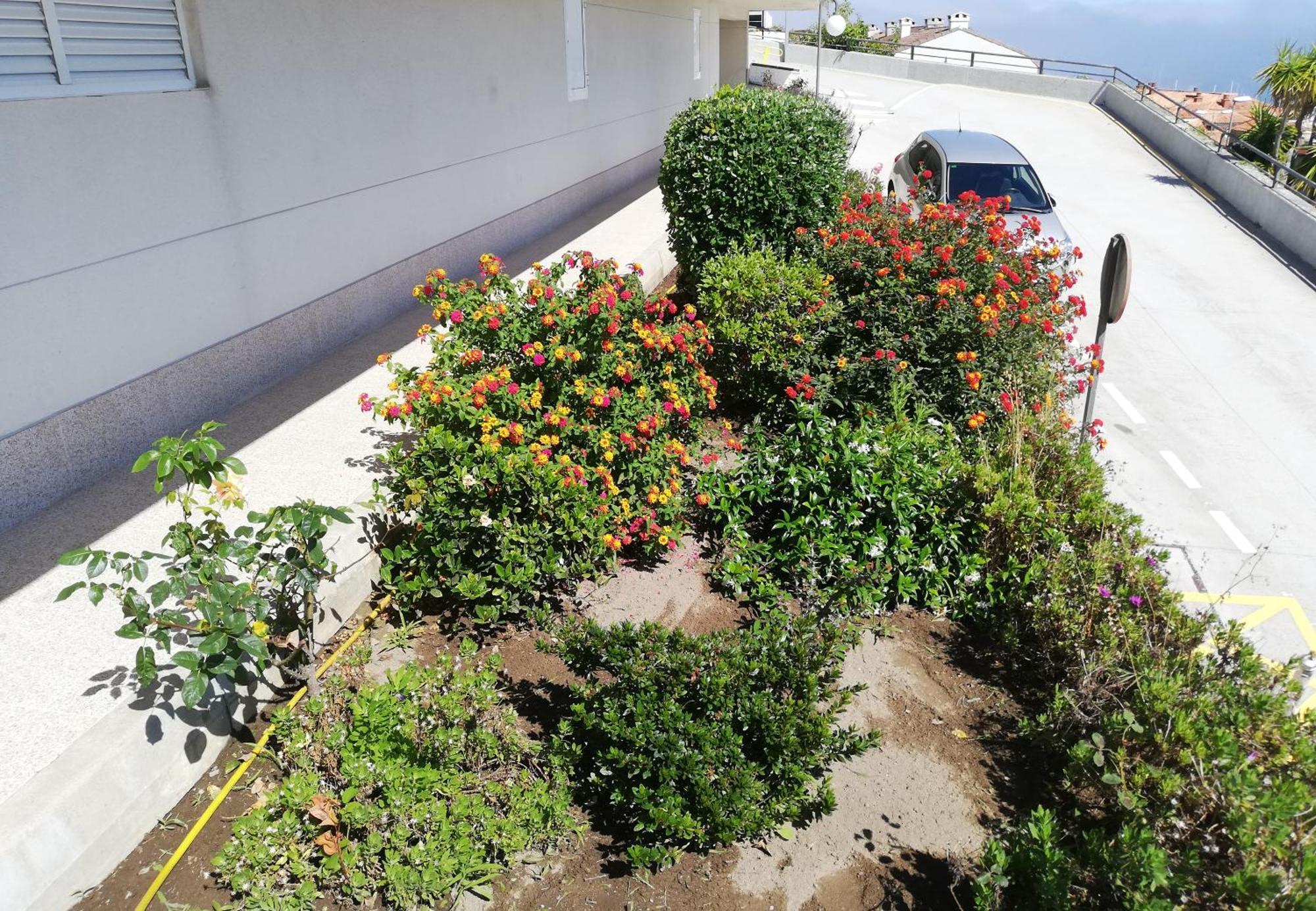 Apartamento En La Playa Ideal Para Grupos Baiona Dış mekan fotoğraf